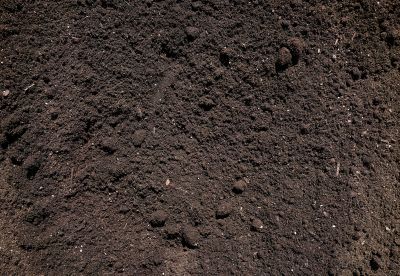 Fall Soil Preparation